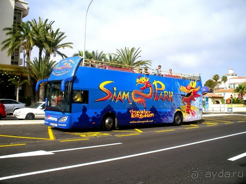 Бесплатный автобус до королевства Сиама.