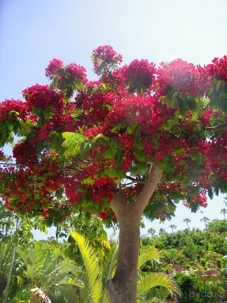 СИАМ ПАРК. "Райские уголки" отдыха. 