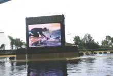 Лоро Парк. Шоу Касаток. Сидели на "не правильной" трибуне (где по сценарию заливают водой), фотоаппарат был убран. Фото остались только в памяти.  