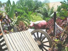 СИАМ ПАРК. Тематические зоны.