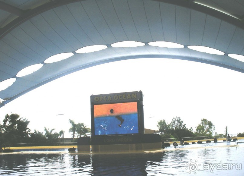 Тенерифская сказка. Часть 3 "Карусель развлечений"