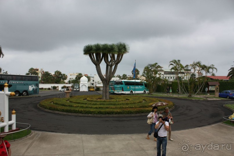 Парковка у Лоро Парка. Небо затянуто тучками, накрапывает мелкий дождь. Прохладно.