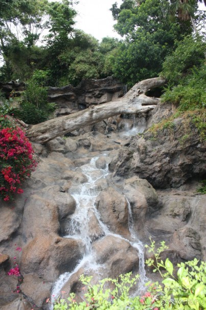 Лоро Парк. Ландшафты. 