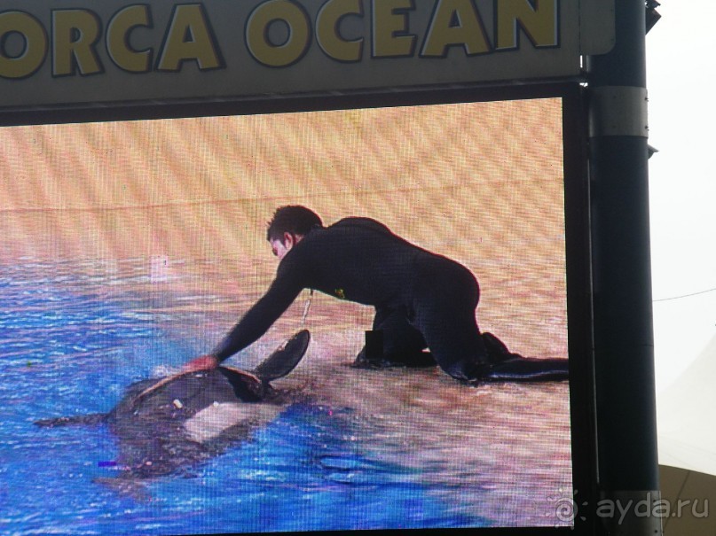 Тенерифская сказка. Часть 3 "Карусель развлечений"