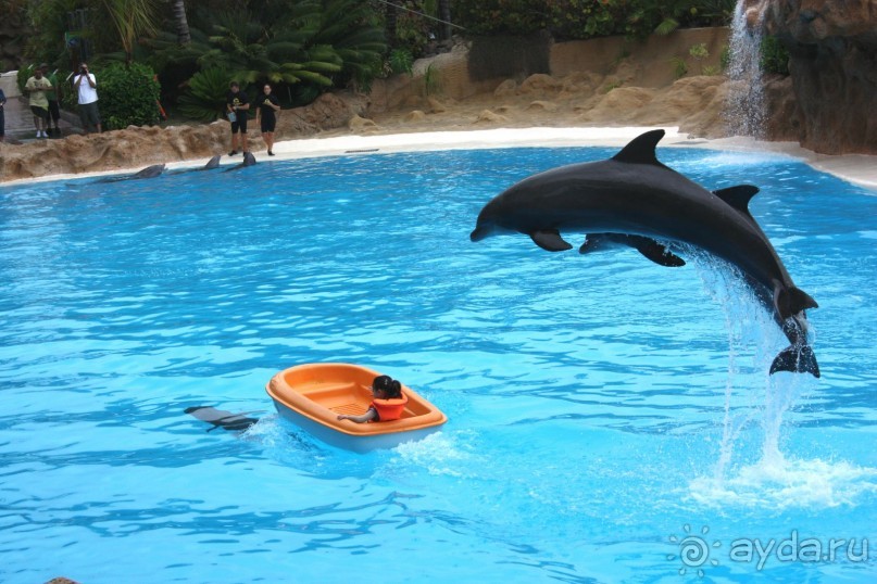 Тенерифская сказка. Часть 3 "Карусель развлечений"