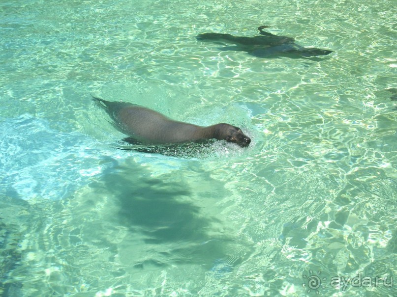 СИАМ ПАРК. "Райские уголки" отдыха для местных жителей. 