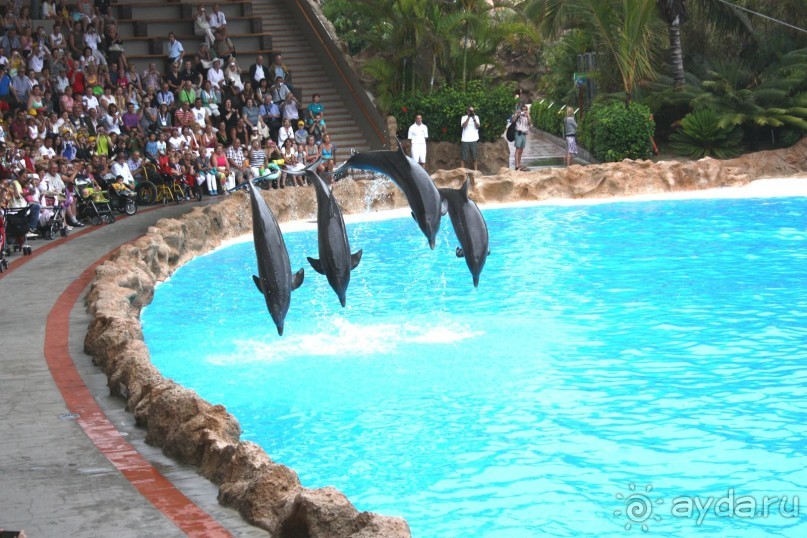 Тенерифская сказка. Часть 3 "Карусель развлечений"