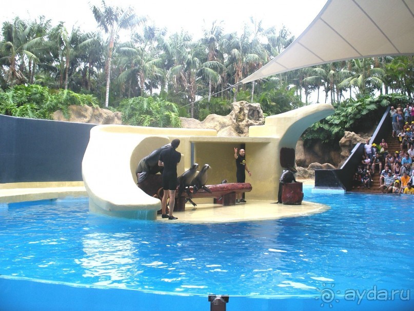 Тенерифская сказка. Часть 3 "Карусель развлечений"