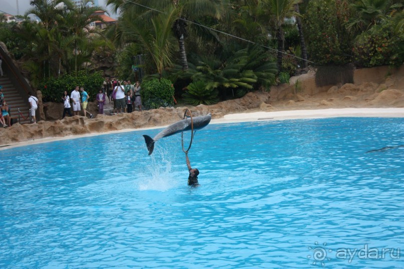 Тенерифская сказка. Часть 3 "Карусель развлечений"