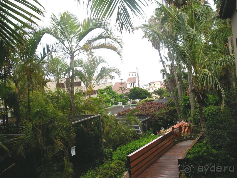 Лоро Парк. "Заповедные уголки"