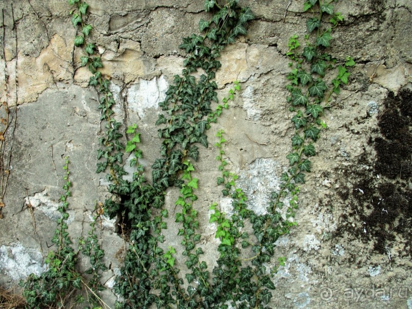 Греческая "кругосветка". Пелопоннес. Город Триполи.