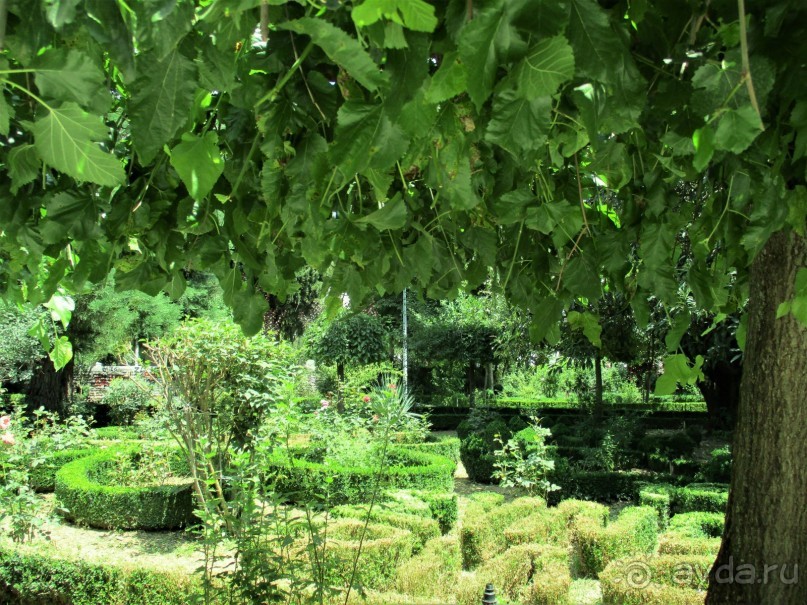 Греческая "кругосветка". Пелопоннес. Город Триполи.