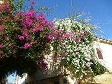 VIII. День рождения на земле древней Эллады Ч.2