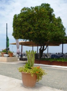 Магия греческого города. Салоники. Работа может подождать.