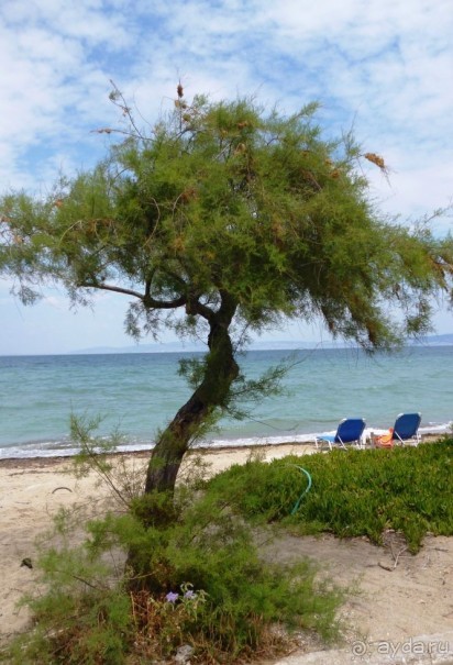 Магия греческого города. Салоники. Работа может подождать.