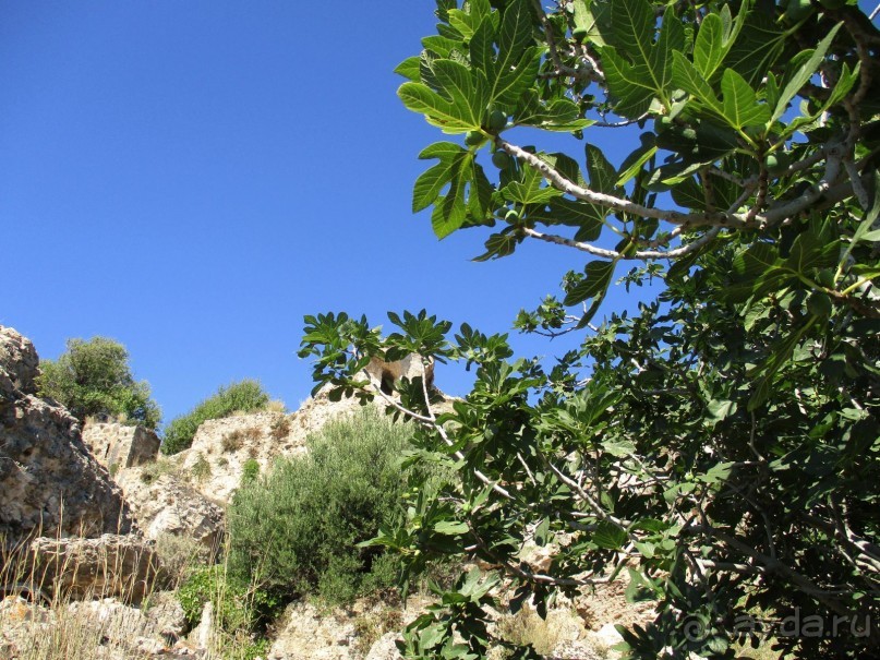 Альбом отзыва "Греческая  "кругосветка". Пелопоннес. Берега моей мечты. Продолжение. Посёлок Корони."