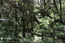 Тенерифская сказка. Часть 2. "Затерянный в мирах"