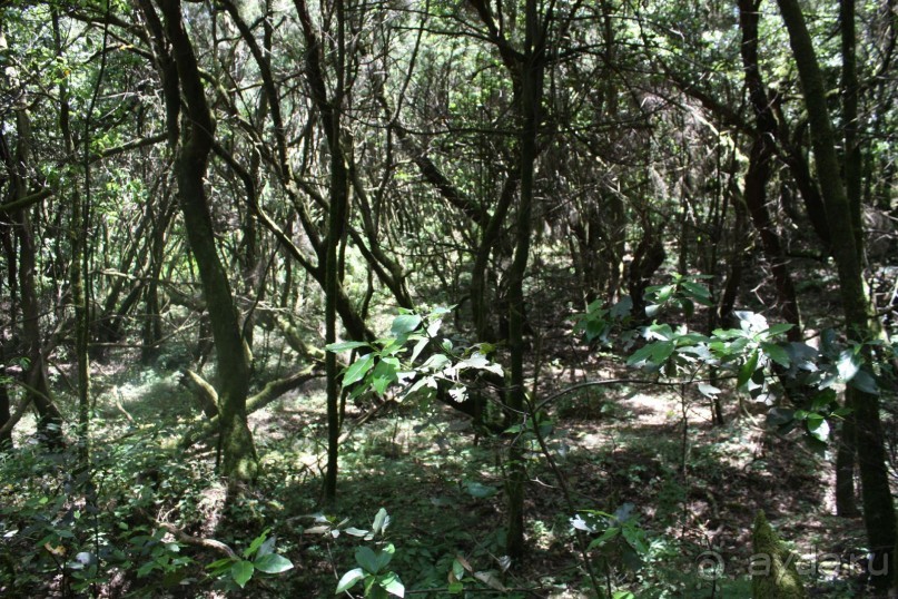 Тенерифская сказка. Часть 2. "Затерянный в мирах"