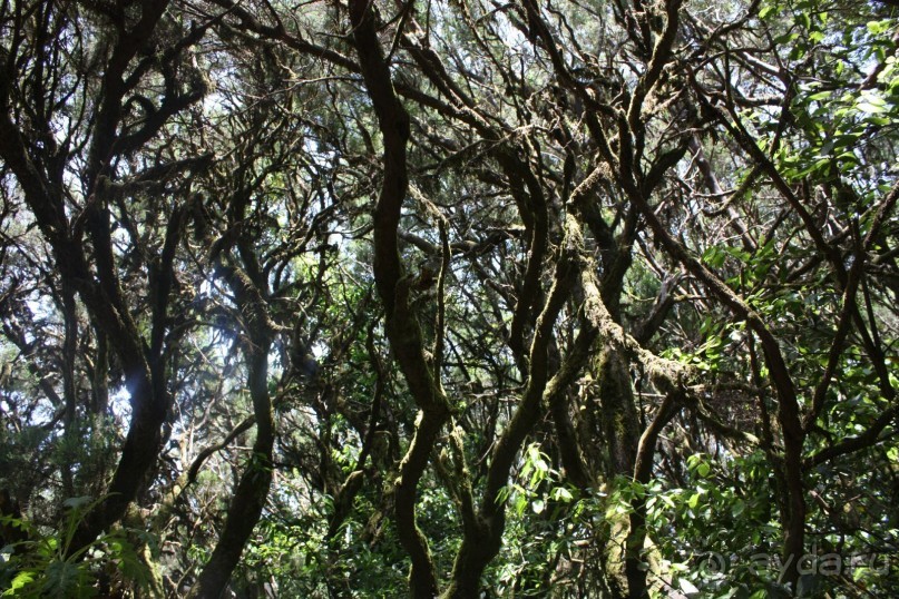 Тенерифская сказка. Часть 2. "Затерянный в мирах"
