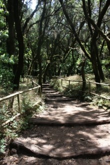 Тенерифская сказка. Часть 2. "Затерянный в мирах"