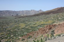 Тенерифская сказка. Часть 2. "Затерянный в мирах"