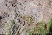 Тенерифская сказка. Часть 2. "Затерянный в мирах"