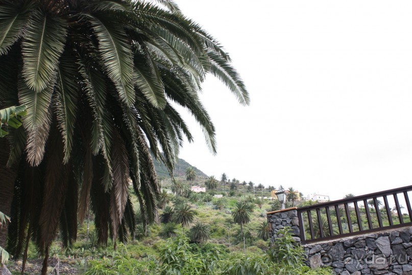 Тенерифская сказка. Часть 2. "Затерянный в мирах"