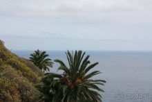 Тенерифская сказка. Часть 2. "Затерянный в мирах"