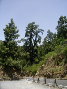 Тенерифская сказка. Часть 2. "Затерянный в мирах"