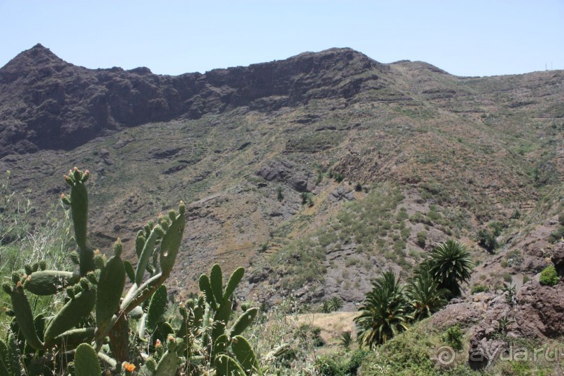 Тенерифская сказка. Часть 2. "Затерянный в мирах"