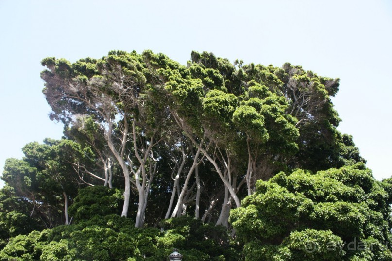 Тенерифская сказка. Часть 2. "Затерянный в мирах"