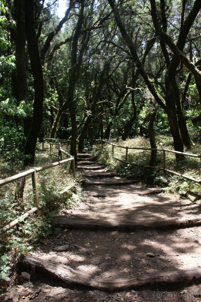 Тенерифская сказка. Часть 2. "Затерянный в мирах"