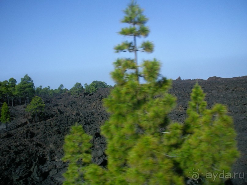 Тенерифская сказка. Часть 2. "Затерянный в мирах"