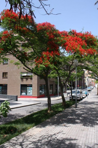 Тенерифская сказка. Часть 2. "Затерянный в мирах"