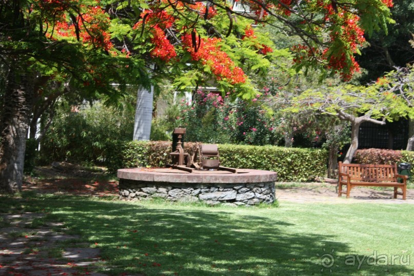 Тенерифская сказка. Часть 2. "Затерянный в мирах"