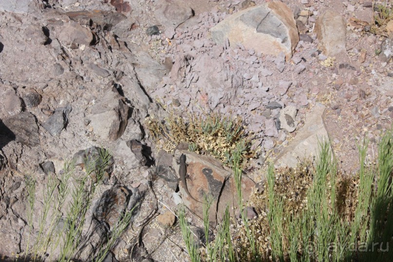 Тенерифская сказка. Часть 2. "Затерянный в мирах"