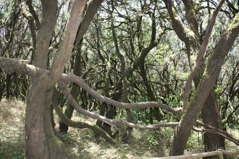 Тенерифская сказка. Часть 2. "Затерянный в мирах"