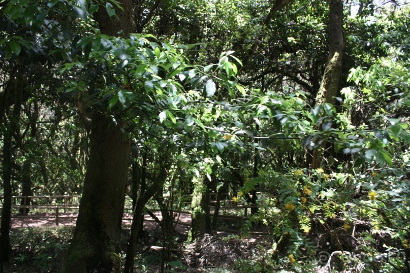 Тенерифская сказка. Часть 2. "Затерянный в мирах"