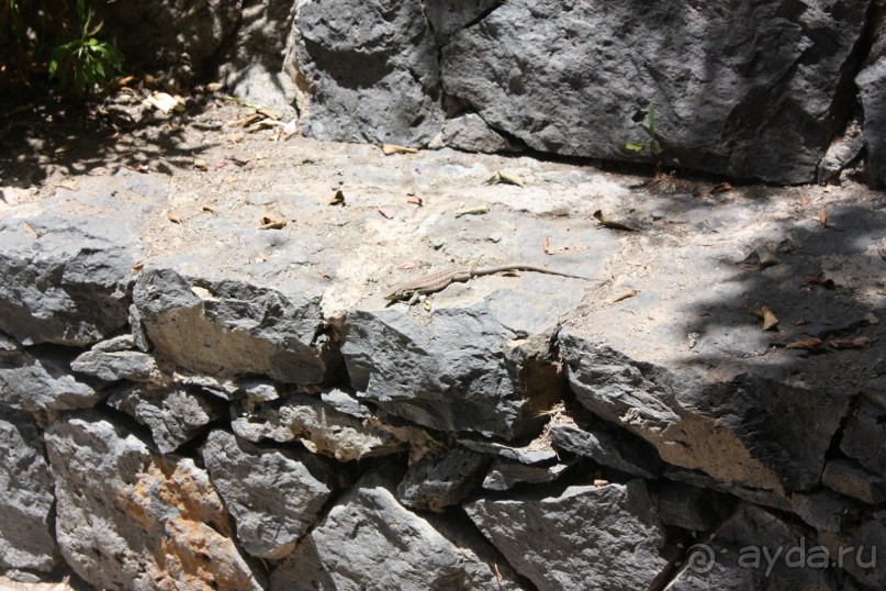 Тенерифская сказка. Часть 2. "Затерянный в мирах"