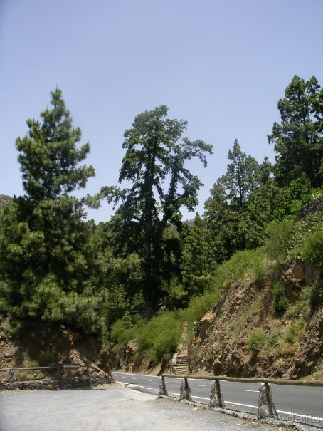 Тенерифская сказка. Часть 2. "Затерянный в мирах"