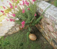 Альбом отзыва "Греческая "кругосветка". Пелопоннес. Берега моей мечты."