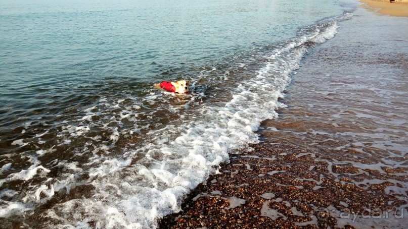 Греческая "кругосветка". Пелопоннес. Берега моей мечты.