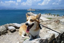 Греческая "кругосветка" . Пелопоннес. Город Нафплион.