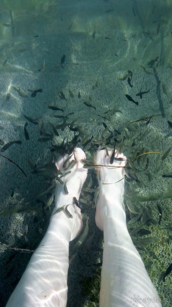 Греческая" кругостветка". Современные Афины. Ч.2 Озеро Вульягмени.