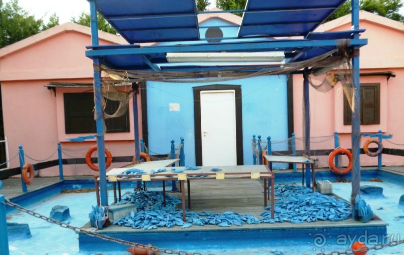 Магия греческого города. Салоники. Парки развлечений.