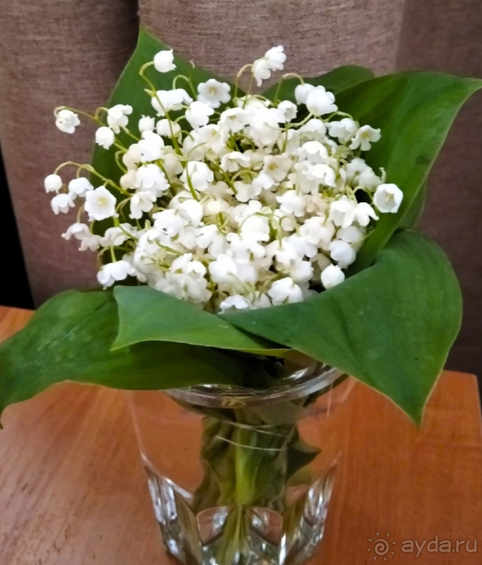 Часть 6. Феодосия. Прогулка по городу