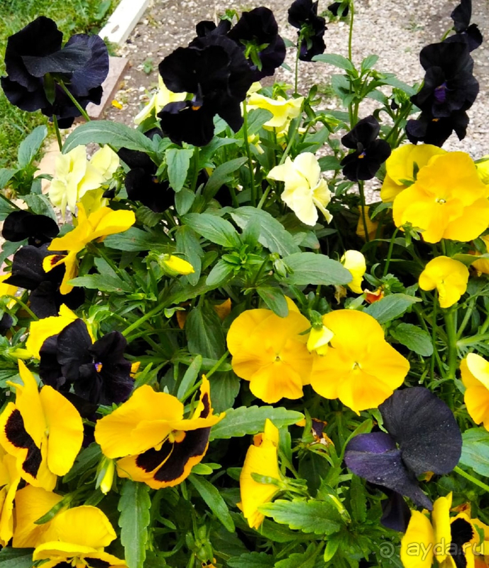 Часть 6. Феодосия. Прогулка по городу