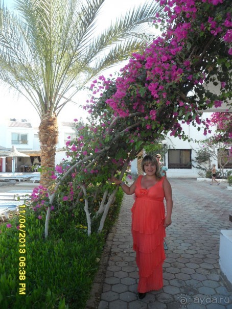 фото Marlin Inn Azur Resort 