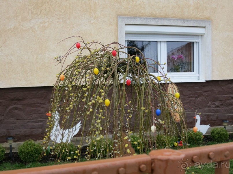 Внимательность и забота