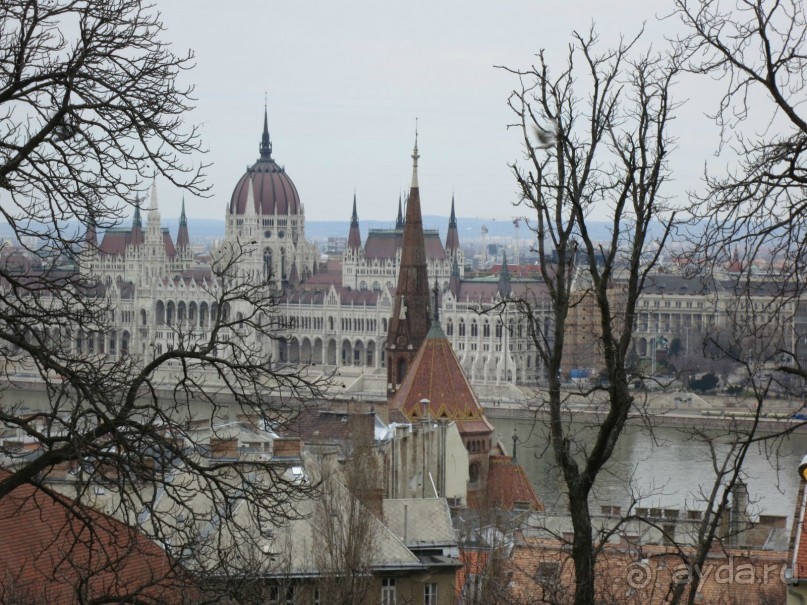 Внимательность и забота